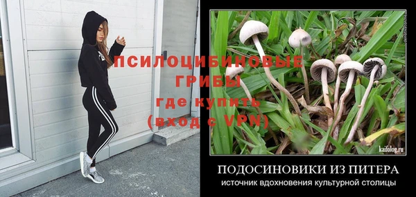 соль курить ск Абаза