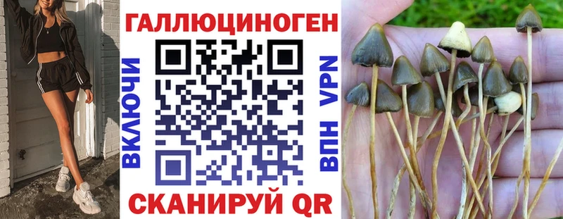 Галлюциногенные грибы ЛСД  как найти   Торжок 