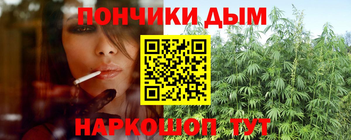 Бошки Шишки ГИДРОПОН Торжок